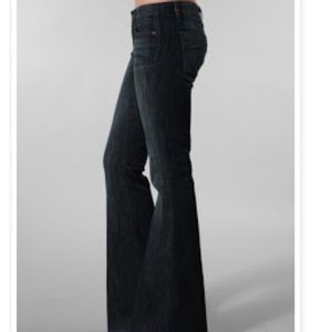 Joes Jeans Stardust Flare